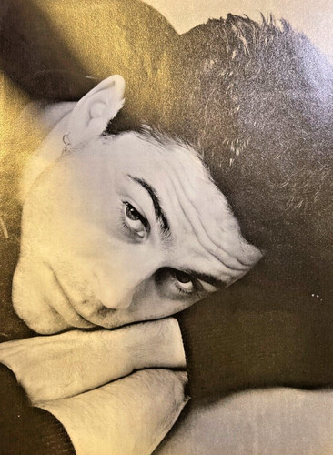 Attore rob lowe 1990 - attore,