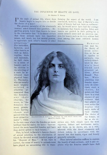1901 belle donne influenza - belle,